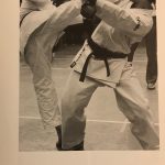 Karate - Autor Roland Zolliker