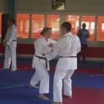 Danprüfung Kihon Kumite 